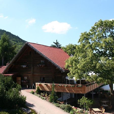 Kastanienhof Apartment Hotel Dannenfels Zewnętrze zdjęcie