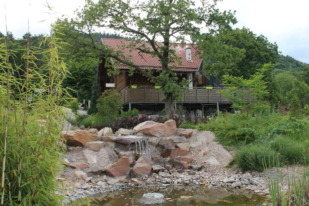 Kastanienhof Apartment Hotel Dannenfels Zewnętrze zdjęcie